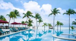 Riviera Maya - Azul Hotels by Karisma, pool and palm trees